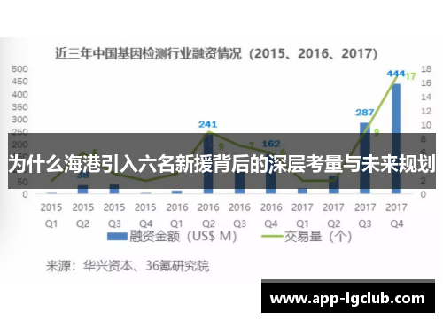 为什么海港引入六名新援背后的深层考量与未来规划