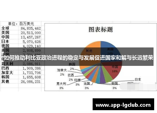 如何推动利比亚政治进程的稳定与发展促进国家和解与长远繁荣