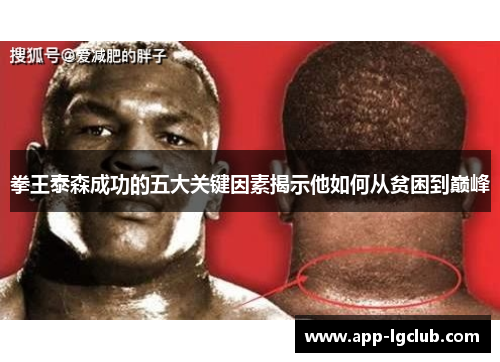 拳王泰森成功的五大关键因素揭示他如何从贫困到巅峰