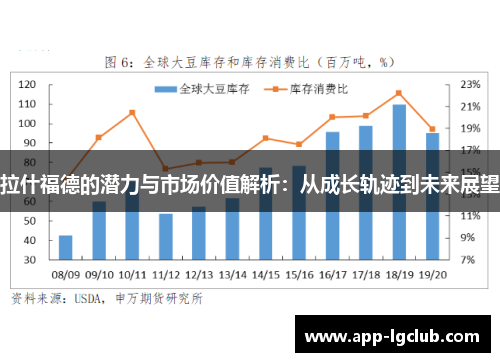 拉什福德的潜力与市场价值解析：从成长轨迹到未来展望